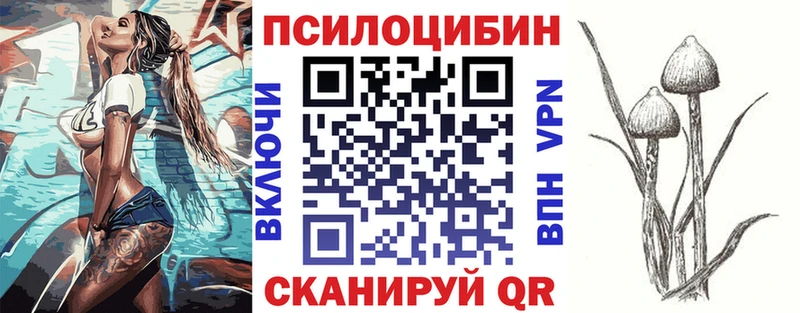 Галлюциногенные грибы прущие грибы  где продают наркотики  Альметьевск 